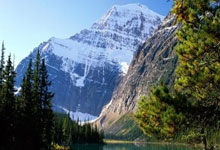 开云下载关于球星爆发！橄榄球赛场再现神级操作的信息