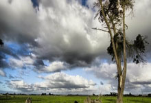 开云体育官方网站阿尔艾因训练基地开放，备战世俱杯进入冲刺阶段