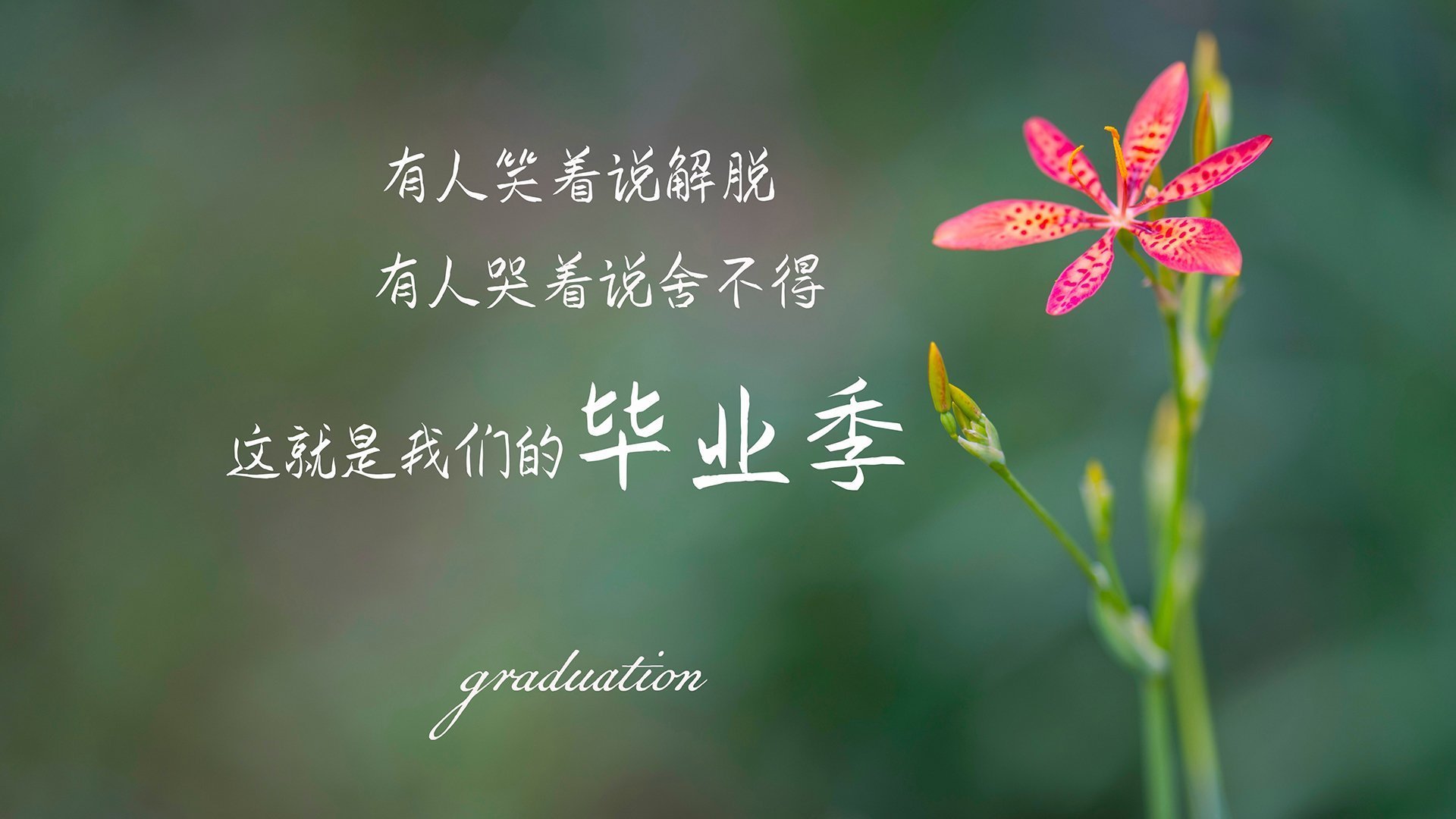 铁骑碾碎桑巴舞步，楚阿梅尼一战封神，彻底肢解巴西梦幻防线